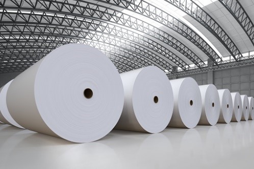Paper Waste