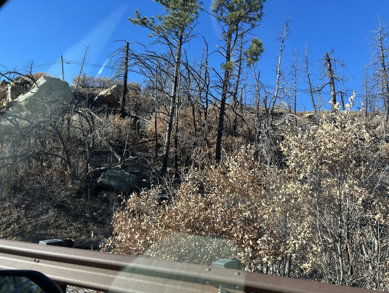 Wild fires New Mexico