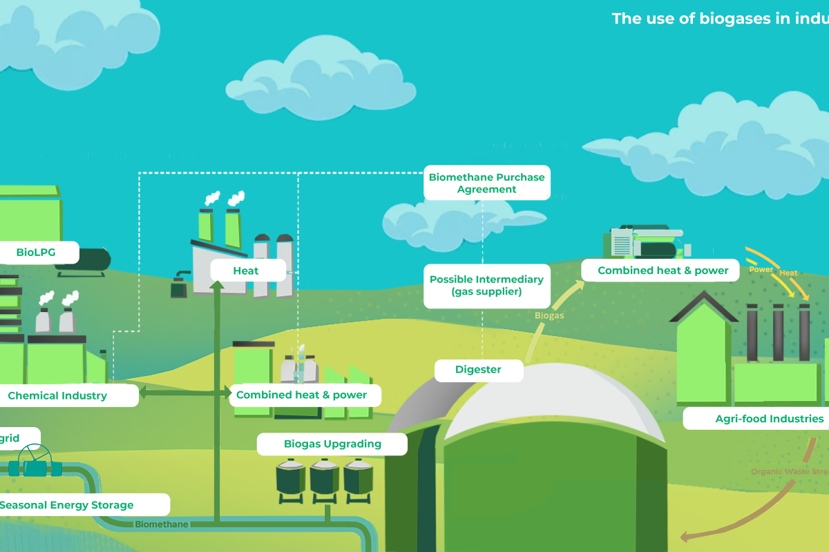 How can biogases help to decarbonise industrial processes? - Diagram