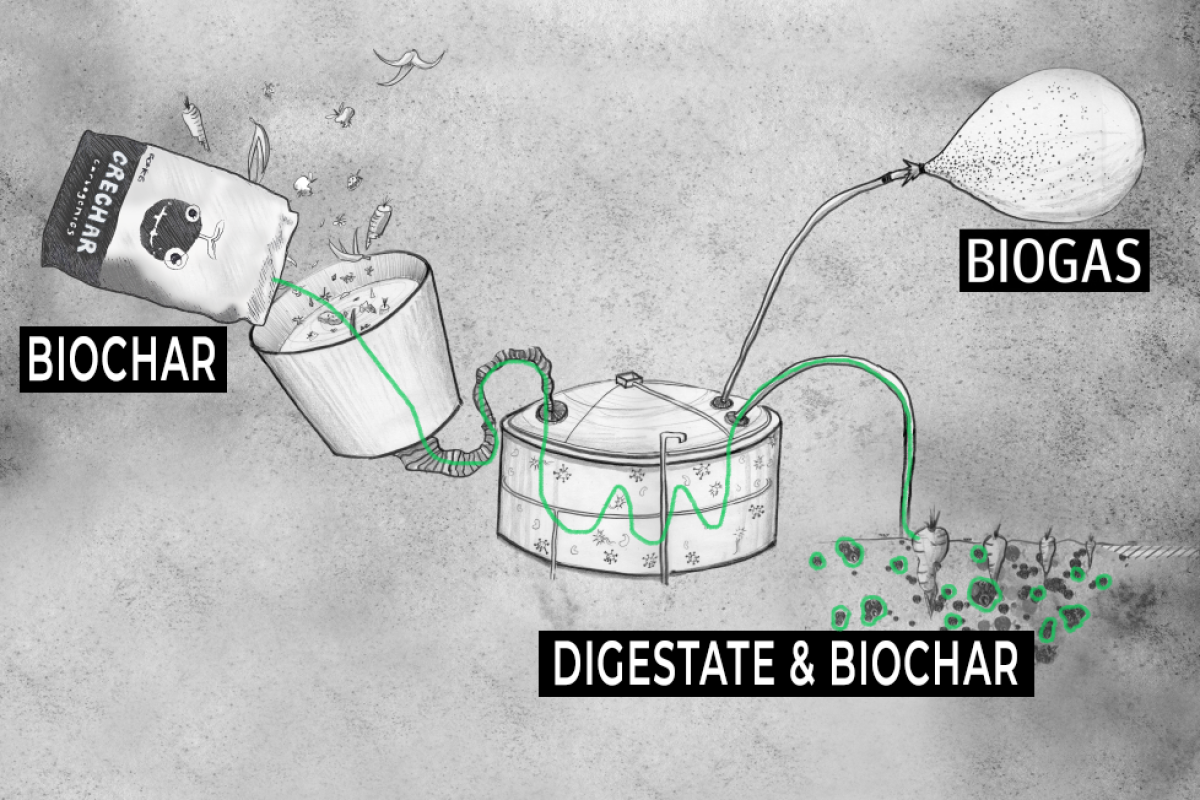Biochar in AD Diagram