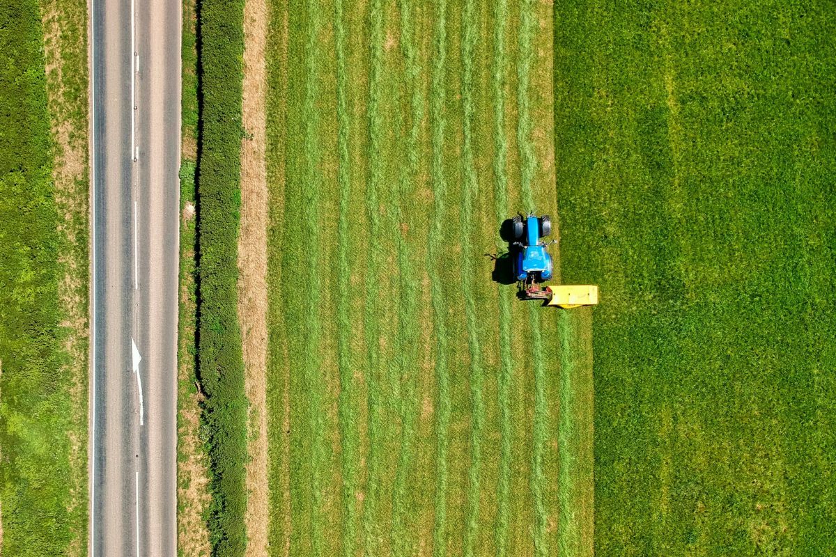 Farm